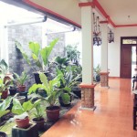 guest house yogya