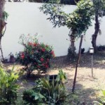 guest-house-gejayan-yogya-14